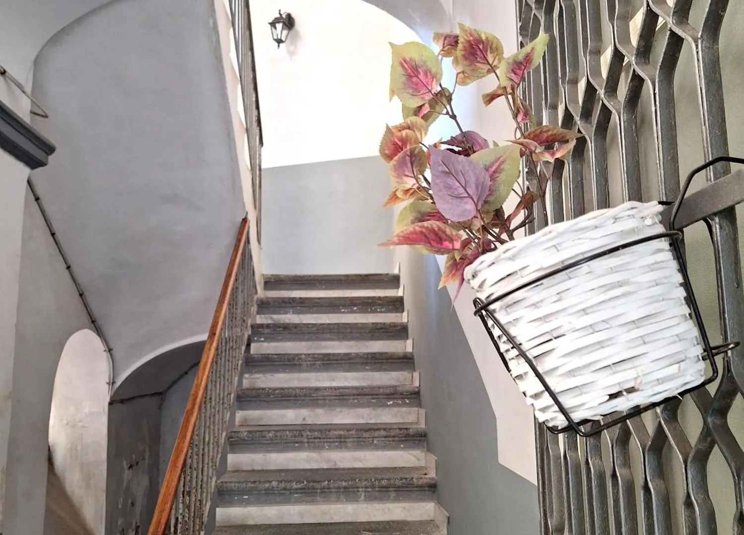 Alloggio in famiglia Appartamento La Casa Di Luale E Zoe Napoli Italia