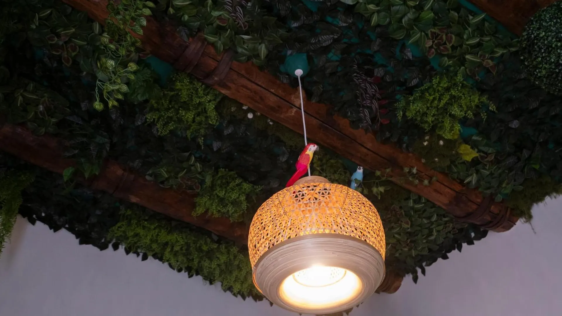 Appartamento La Casa Di Luale E Zoe Napoli 0*,